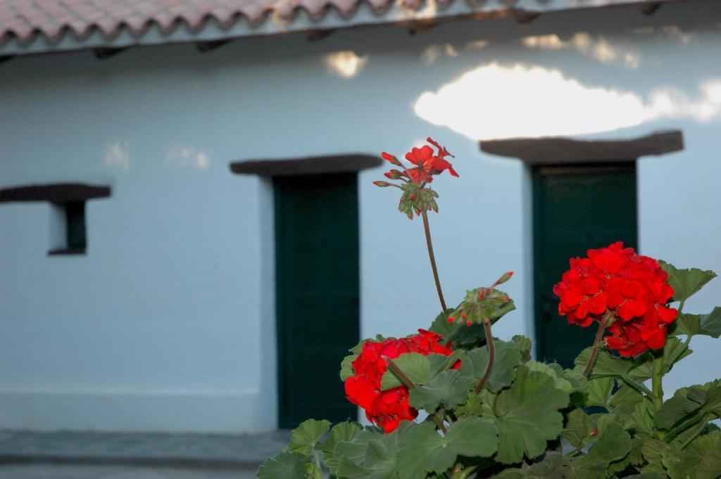 Hacienda De Molinos Hotel Δωμάτιο φωτογραφία